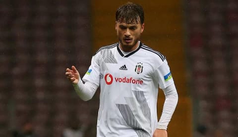 Adem Ljajic de ülkesine dönüyor!
