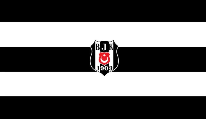 Beşiktaş, Rosenhaim  Kulübü ile anlaşma yaptı!