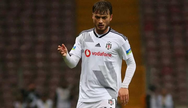 Aleksandar Vucic, Ljajic için bir uçak daha gönderecek!