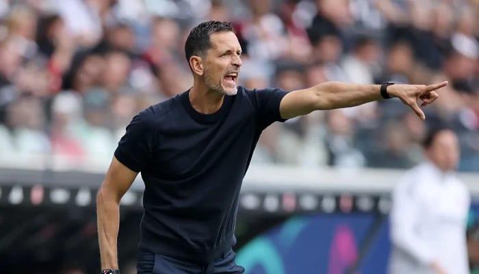 Dino Toppmöller’den Beşiktaş’a olumlu mesaj!