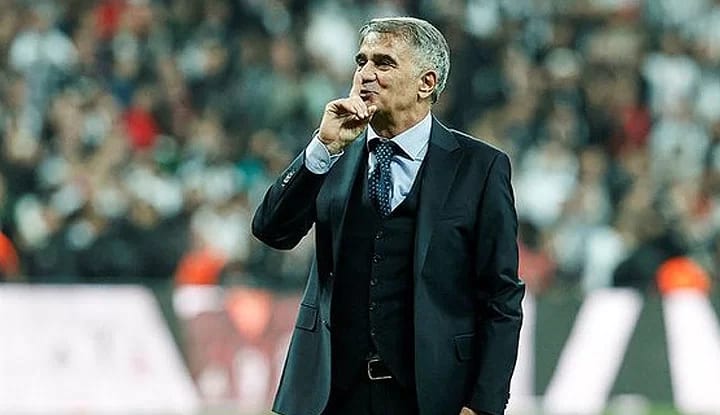 Şenol Güneş'e yeni talip!