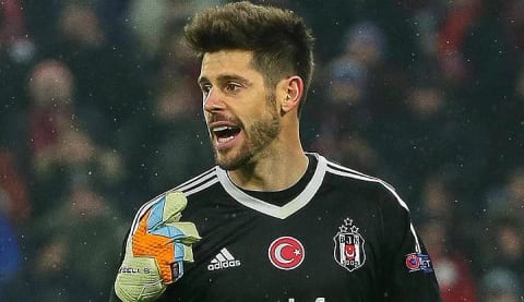 Fabri yuvaya dönmek istiyor!