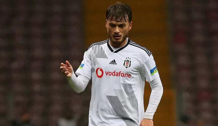 Adem Ljajic de ülkesine dönüyor!