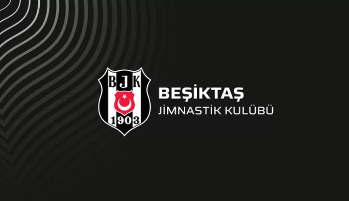 Ajdin Hasic kiralandı!