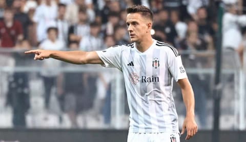 Beşiktaş'ta Amir Hadziahmetovic sakatlandı!