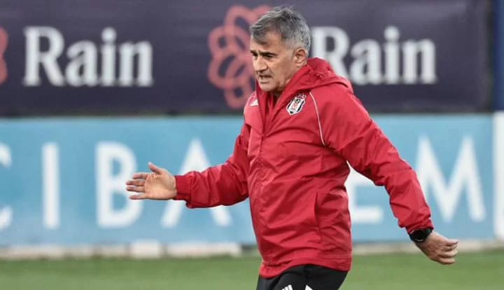 Dünya Kupası arasında Şenol Güneş'ten analiz!