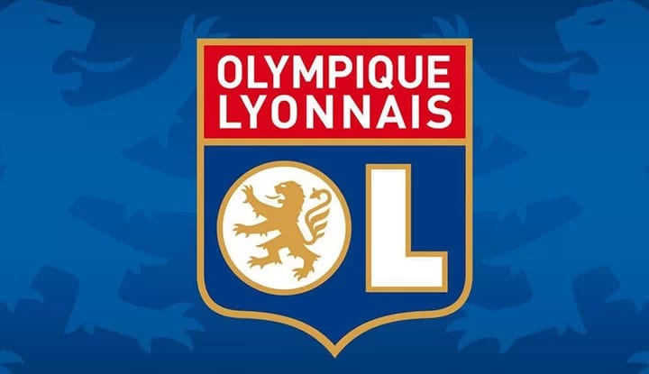 Lyon'un Vida için yaptığı teklif belli oldu!