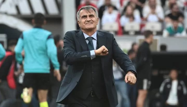 Şenol Güneş Milli arada devreye girecek!