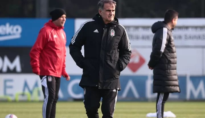 Şenol Güneş'e Alireza önerisi!