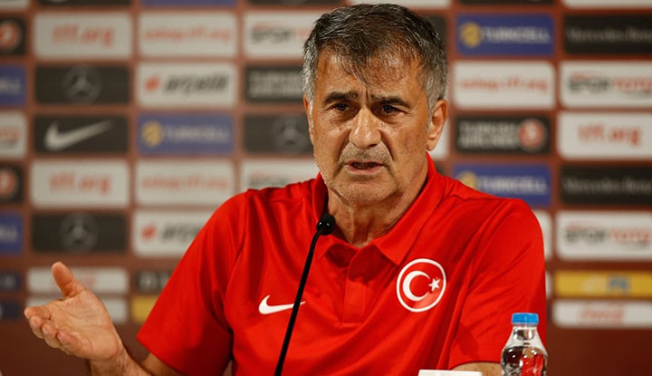 Şenol Güneş'ten Domagoj Vida açıklaması